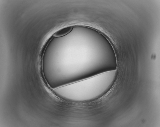 X0000096481511200801241135