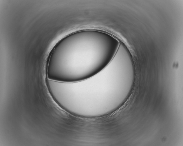 X0000096481512200801241135