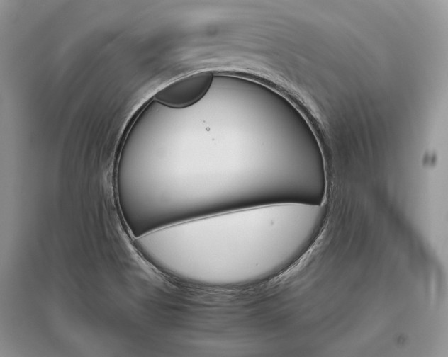 X0000096481513200801241135