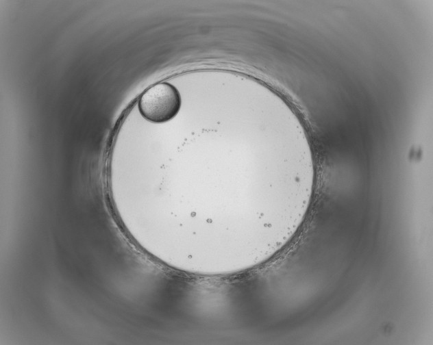 X0000096481514200801241135