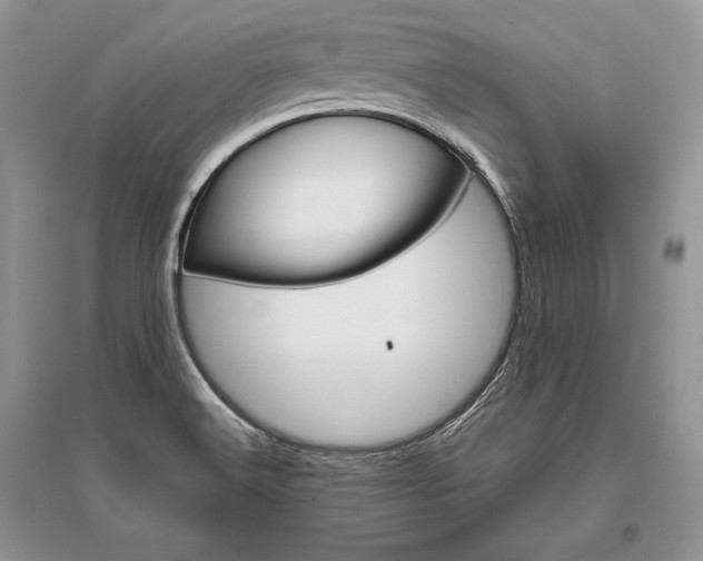 X0000096481516200801241135
