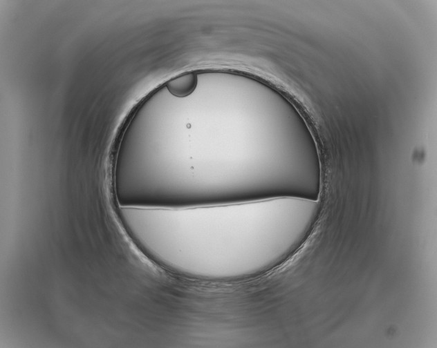 X0000096481517200801241135