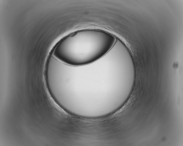 X0000096481518200801241135