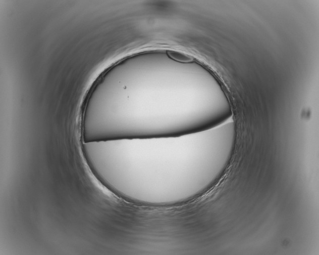 X0000096481519200801241135