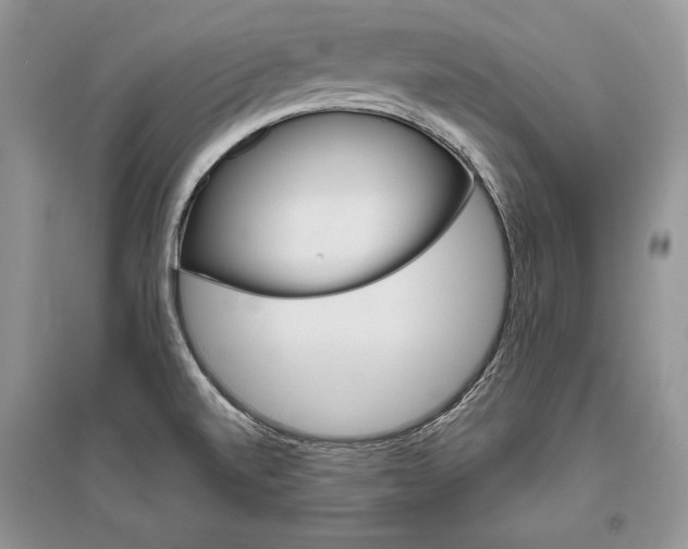 X0000096481520200801241135