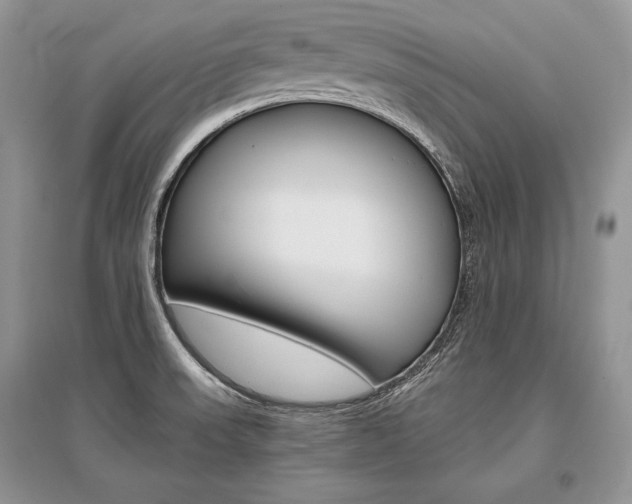 X0000096481523200801241135