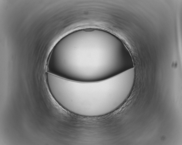 X0000096481524200801241135