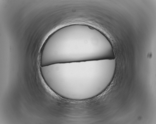 X0000096481526200801241135