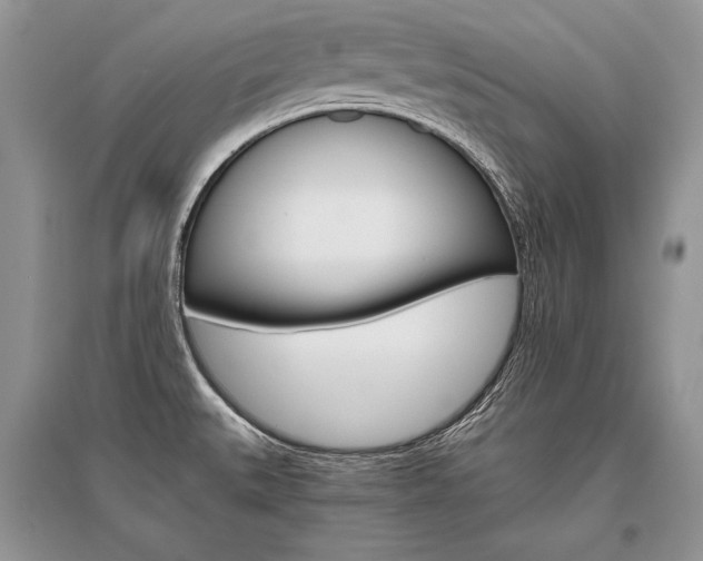 X0000096481527200801241135