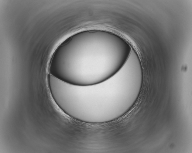 X0000096481528200801241135