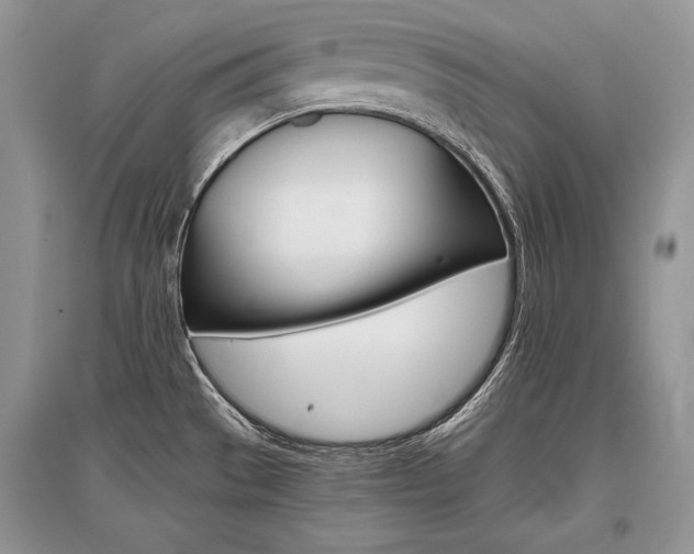 X0000096481529200801241135