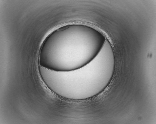 X0000096481530200801241135