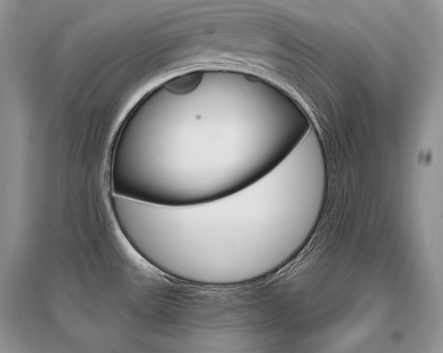 X0000096481531200801241135