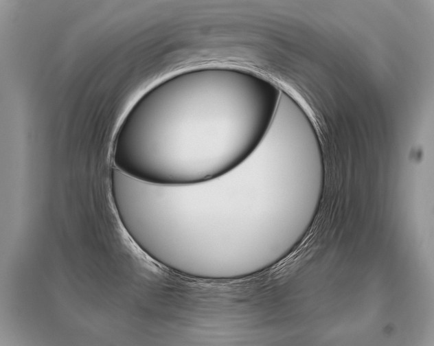 X0000096481532200801241135