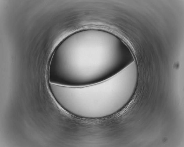X0000096481533200801241135
