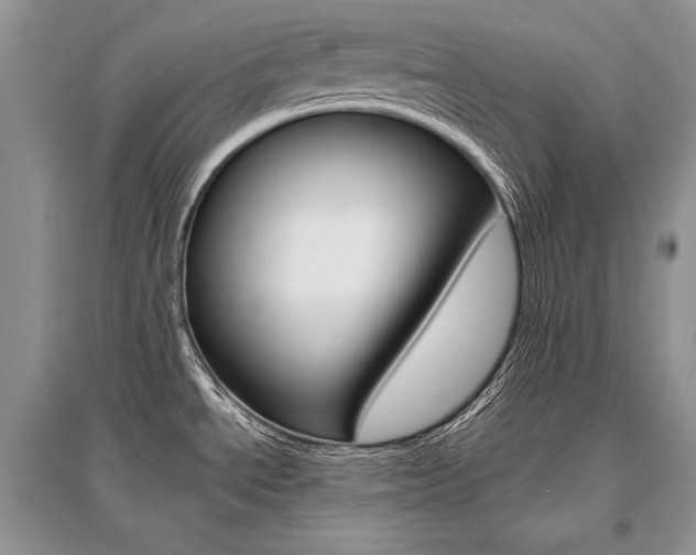 X0000096481534200801241135