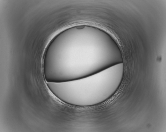 X0000096481535200801241135