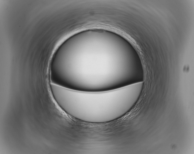 X0000096481536200801241135