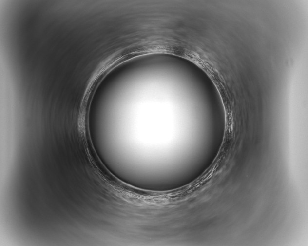 X0000096480004200801241453