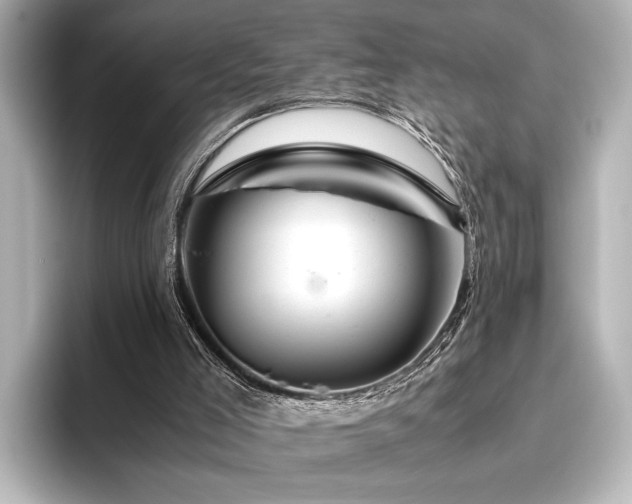 X0000096480005200801241453