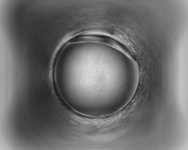 X0000096480006200801241453