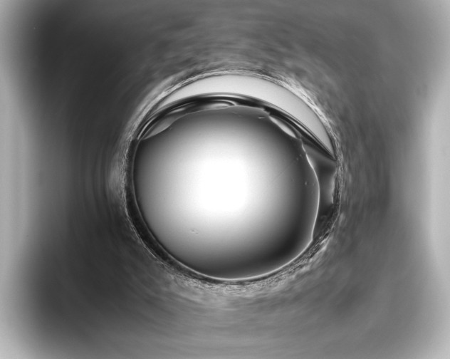 X0000096480007200801241453