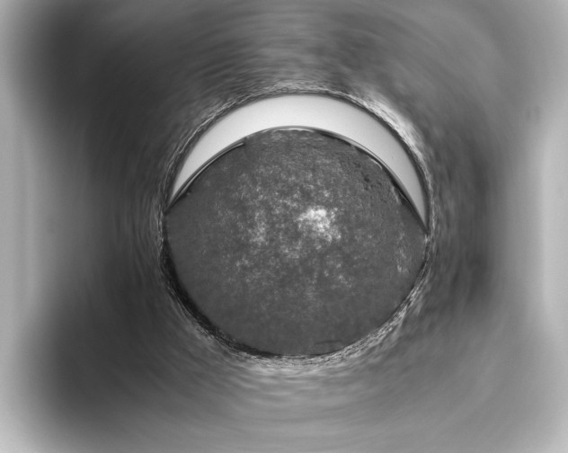 X0000096480009200801241453