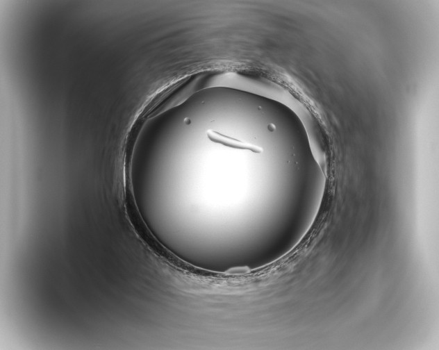 X0000096480011200801241453