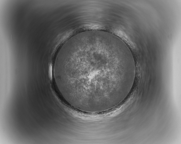 X0000096480014200801241453