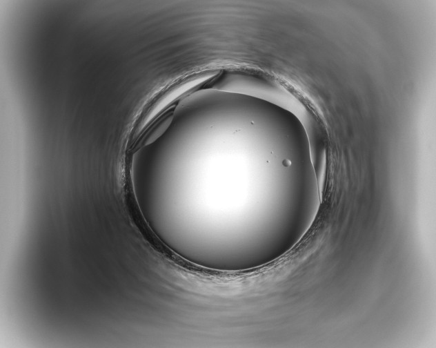 X0000096480015200801241453