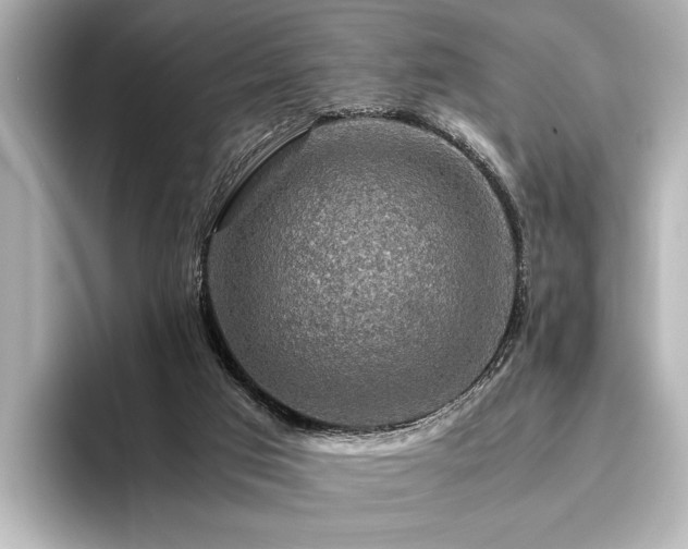 X0000096480017200801241453