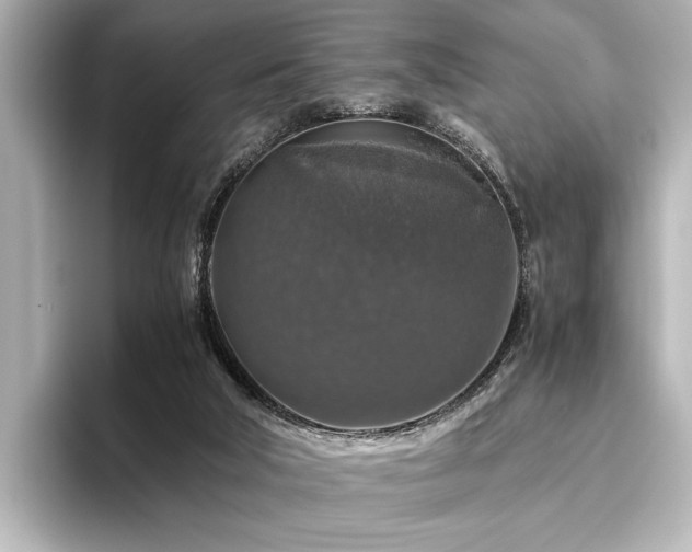 X0000096480018200801241453