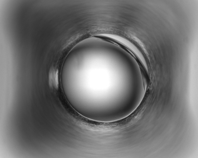 X0000096480020200801241453