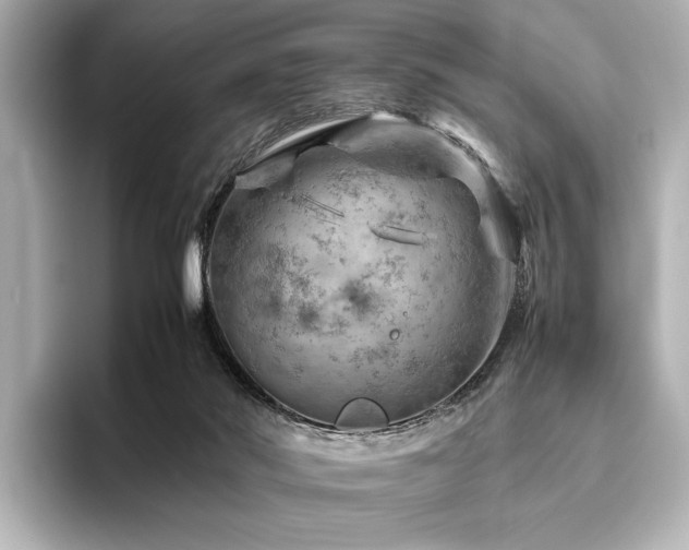 X0000096480022200801241453