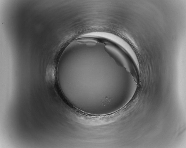 X0000096480023200801241453