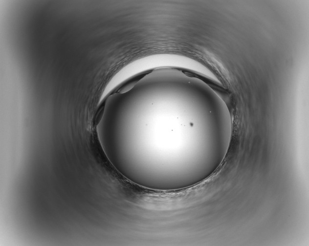 X0000096480025200801241453