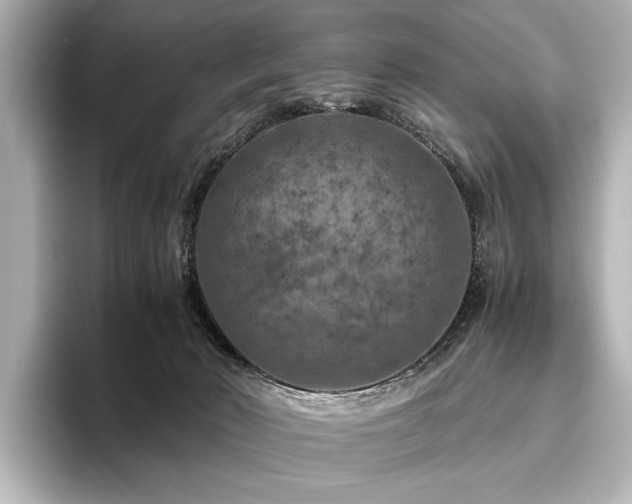 X0000096480030200801241453