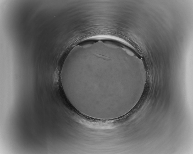 X0000096480032200801241453