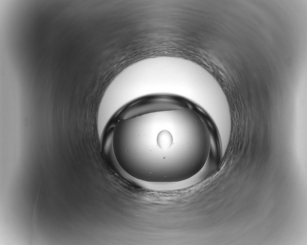 X0000096480033200801241453