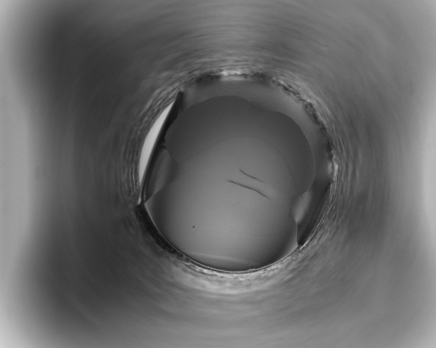 X0000096480035200801241453