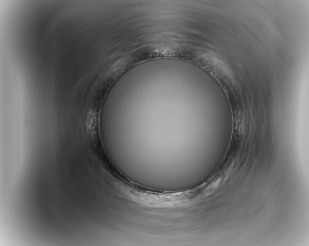 X0000096480036200801241453