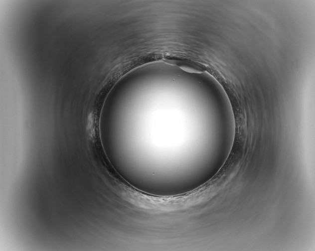 X0000096480038200801241453