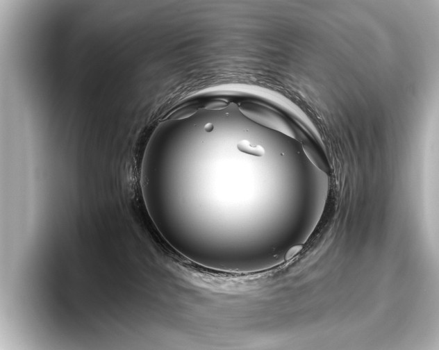 X0000096480040200801241453