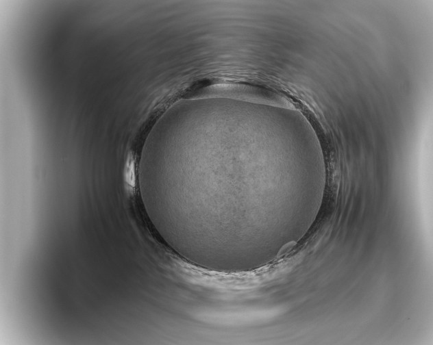 X0000096480042200801241453