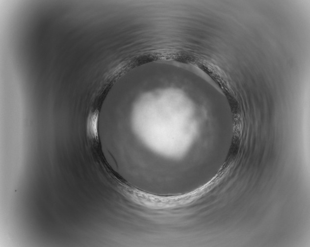 X0000096480047200801241453