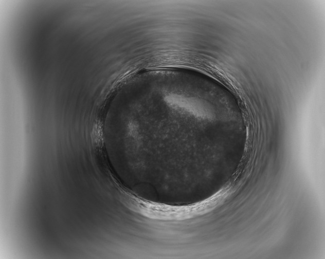 X0000096480048200801241453