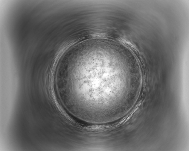 X0000096480049200801241452