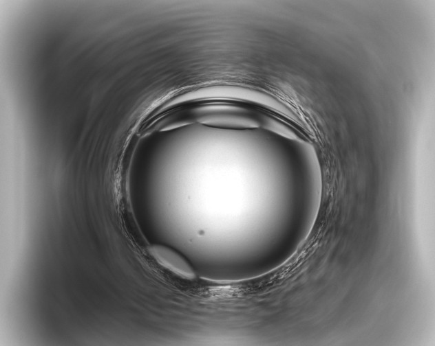 X0000096480050200801241452