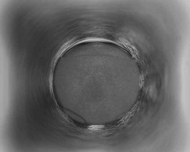 X0000096480051200801241452