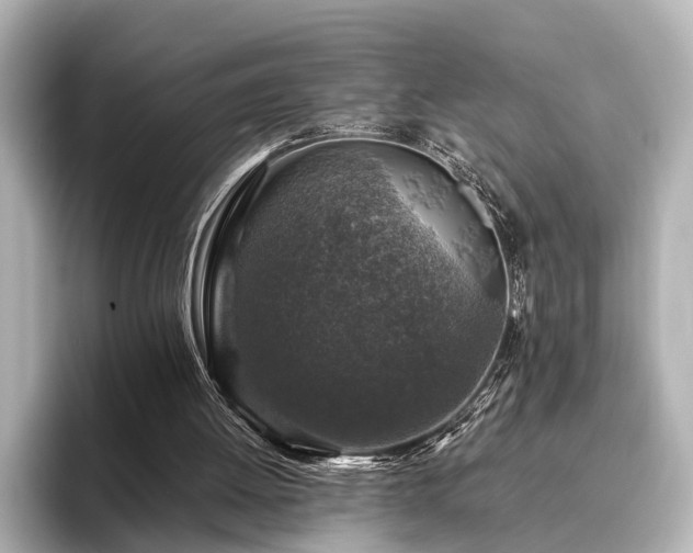 X0000096480052200801241452